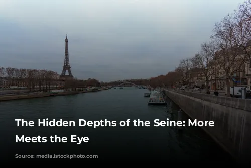 The Hidden Depths of the Seine: More Than Meets the Eye