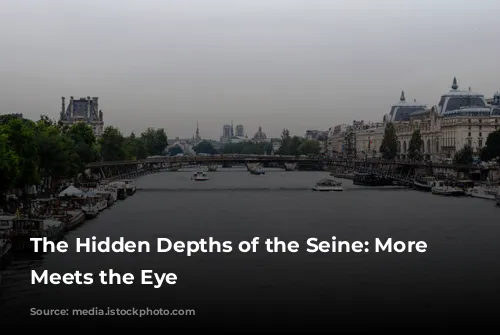 The Hidden Depths of the Seine: More Than Meets the Eye