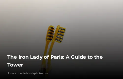 The Iron Lady of Paris: A Guide to the Eiffel Tower