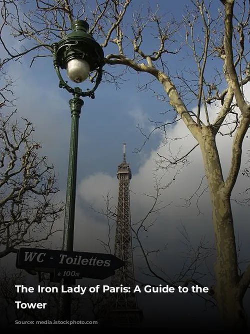 The Iron Lady of Paris: A Guide to the Eiffel Tower