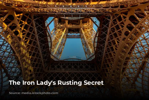 The Iron Lady's Rusting Secret