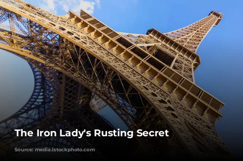 The Iron Lady's Rusting Secret