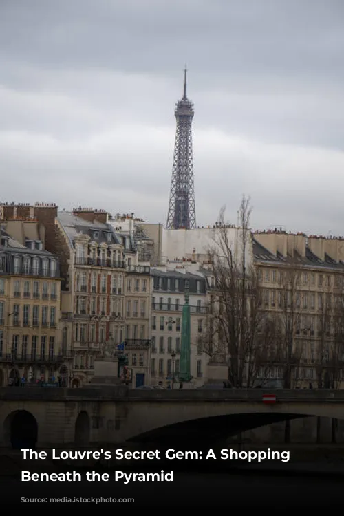 The Louvre's Secret Gem: A Shopping Paradise Beneath the Pyramid