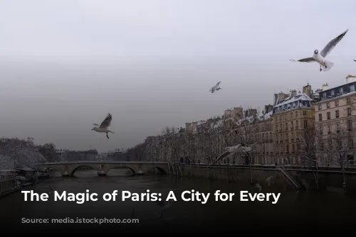  The Magic of Paris: A City for Every Season