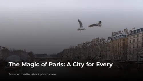  The Magic of Paris: A City for Every Season