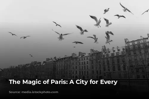  The Magic of Paris: A City for Every Season