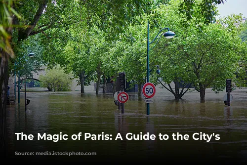 The Magic of Paris: A Guide to the City's Seasons