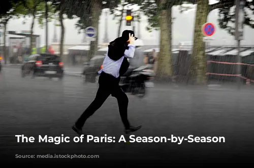 The Magic of Paris: A Season-by-Season Guide