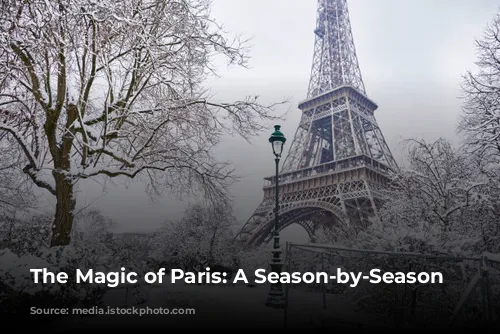 The Magic of Paris: A Season-by-Season Guide