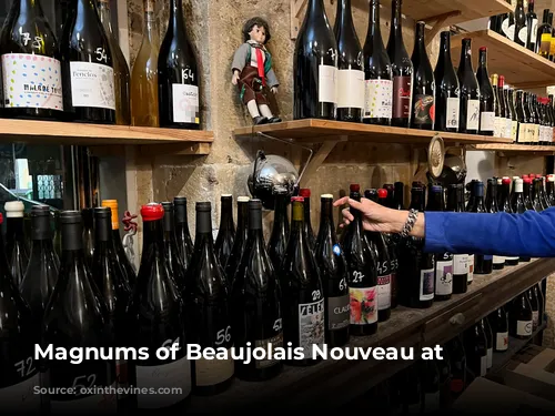 Magnums of Beaujolais Nouveau at Delicatessen