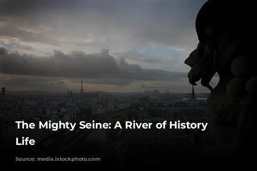 The Mighty Seine: A River of History and Life