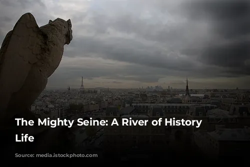 The Mighty Seine: A River of History and Life