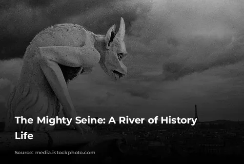 The Mighty Seine: A River of History and Life