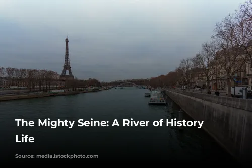 The Mighty Seine: A River of History and Life