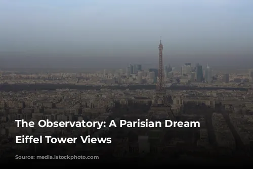 The Observatory: A Parisian Dream with Eiffel Tower Views