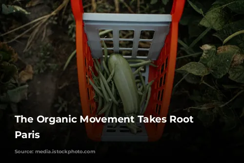 The Organic Movement Takes Root in Paris