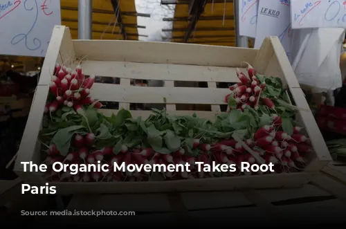 The Organic Movement Takes Root in Paris