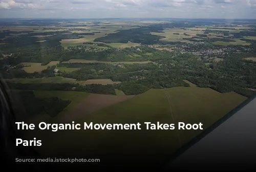 The Organic Movement Takes Root in Paris