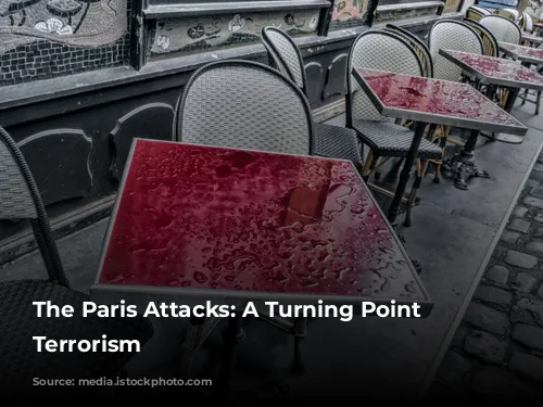 The Paris Attacks: A Turning Point in Terrorism