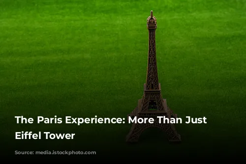 The Paris Experience: More Than Just the Eiffel Tower