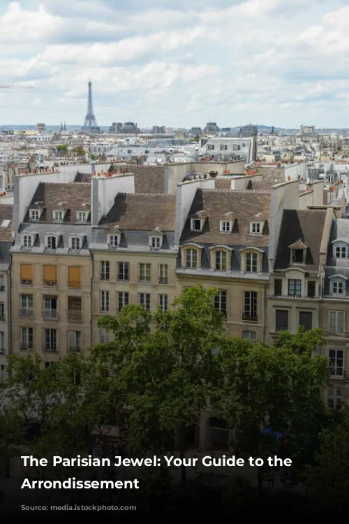 The Parisian Jewel: Your Guide to the 7th Arrondissement