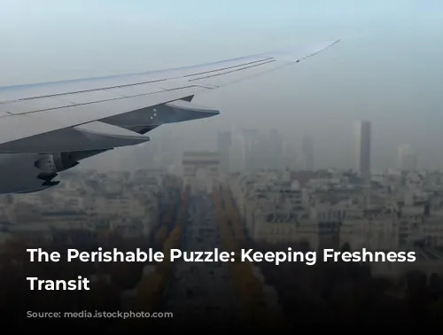 The Perishable Puzzle: Keeping Freshness in Transit