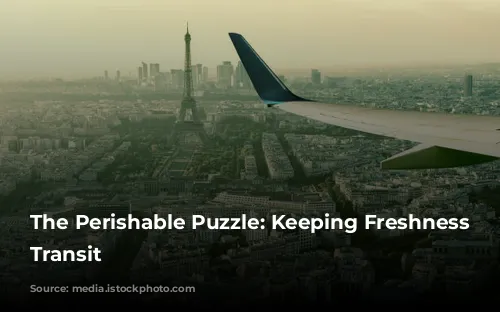 The Perishable Puzzle: Keeping Freshness in Transit