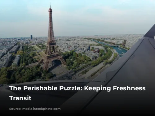 The Perishable Puzzle: Keeping Freshness in Transit