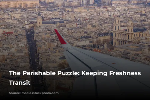 The Perishable Puzzle: Keeping Freshness in Transit