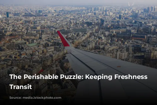 The Perishable Puzzle: Keeping Freshness in Transit