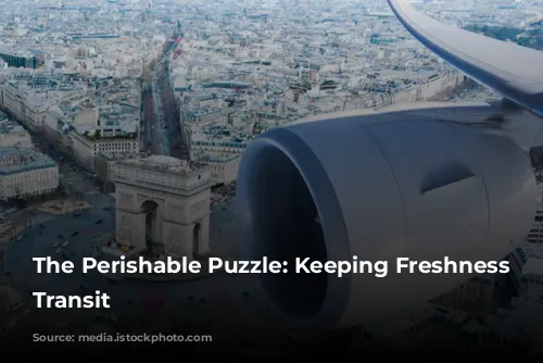 The Perishable Puzzle: Keeping Freshness in Transit