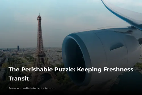 The Perishable Puzzle: Keeping Freshness in Transit