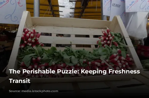 The Perishable Puzzle: Keeping Freshness in Transit