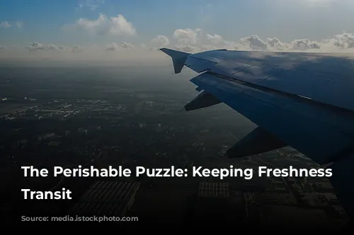 The Perishable Puzzle: Keeping Freshness in Transit