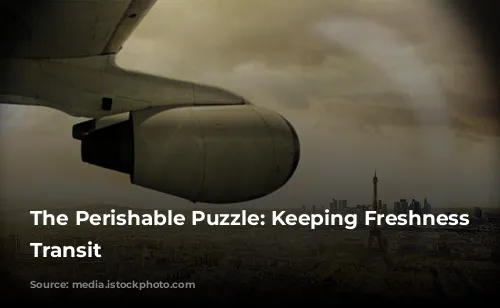 The Perishable Puzzle: Keeping Freshness in Transit