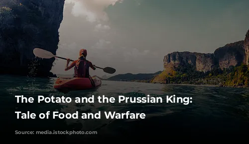 The Potato and the Prussian King: A Tale of Food and Warfare