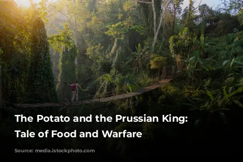 The Potato and the Prussian King: A Tale of Food and Warfare