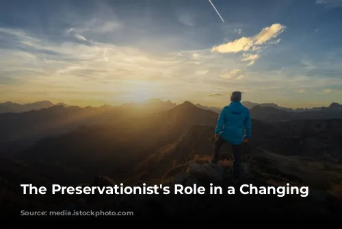 The Preservationist's Role in a Changing World