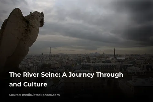 The River Seine: A Journey Through Time and Culture