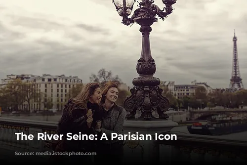 The River Seine: A Parisian Icon