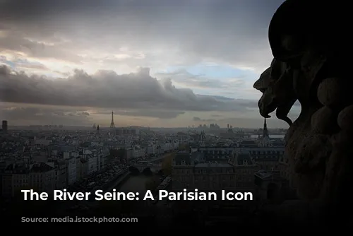 The River Seine: A Parisian Icon