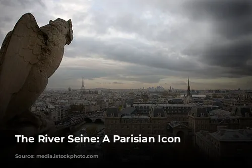 The River Seine: A Parisian Icon