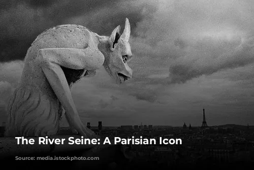 The River Seine: A Parisian Icon