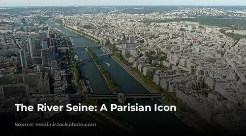 The River Seine: A Parisian Icon