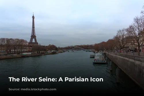 The River Seine: A Parisian Icon