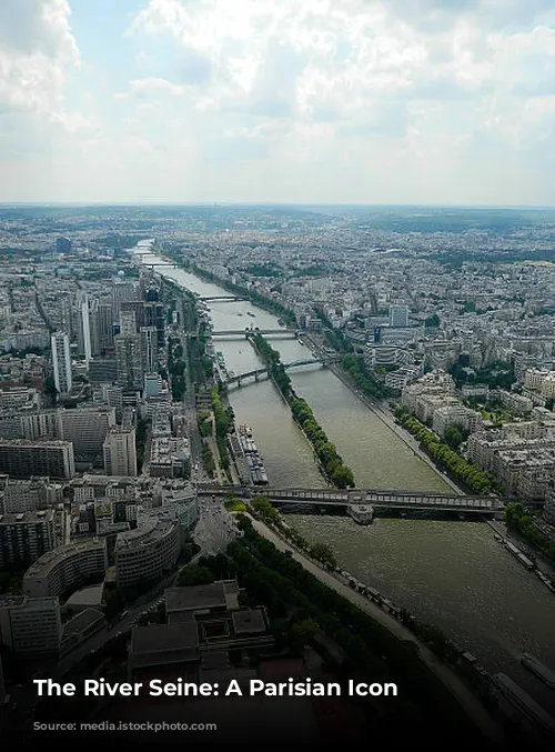 The River Seine: A Parisian Icon