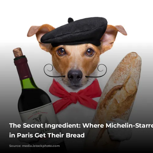 The Secret Ingredient: Where Michelin-Starred Restaurants in Paris Get Their Bread