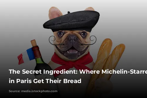 The Secret Ingredient: Where Michelin-Starred Restaurants in Paris Get Their Bread