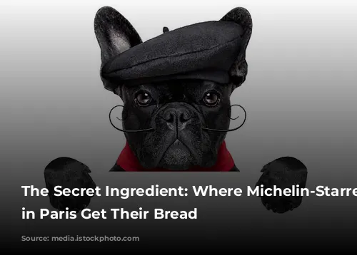 The Secret Ingredient: Where Michelin-Starred Restaurants in Paris Get Their Bread