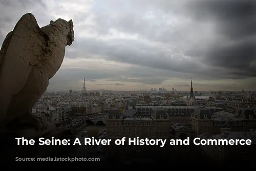 The Seine: A River of History and Commerce